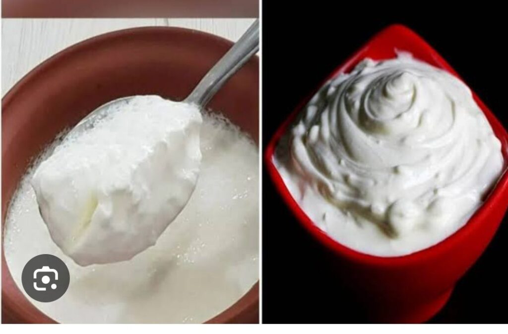 Difference between yoghurt and curd
